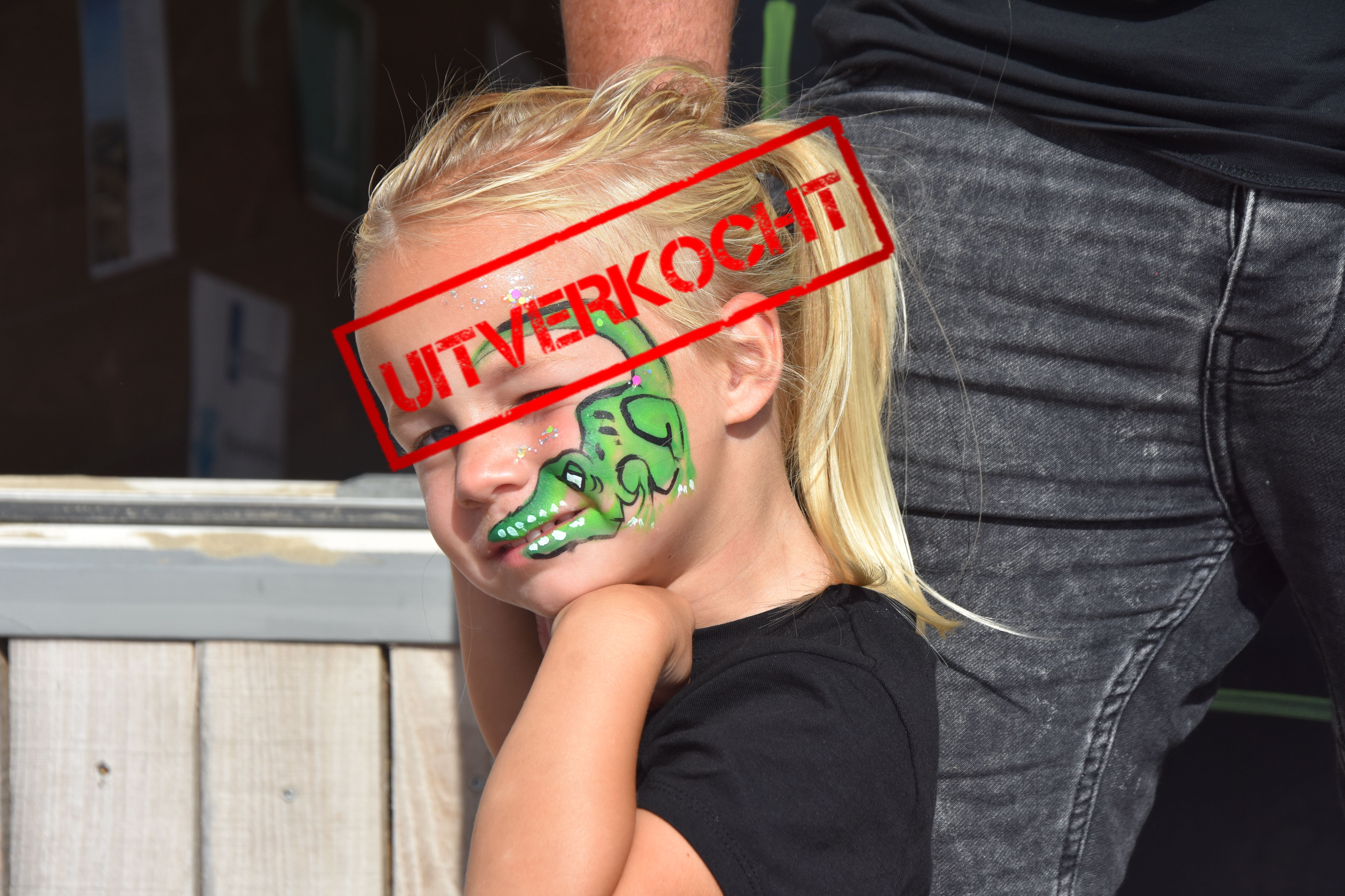 De Toverkist cursus uitverkocht